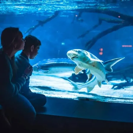 Sleep Well In Cozy Hideout - Bryggen Across The Bay Vakantiehuis