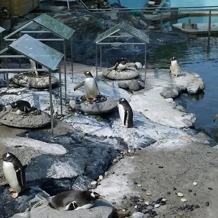 Dom wakacyjny Sleep Well In Cozy Hideout - Bryggen Across The Bay