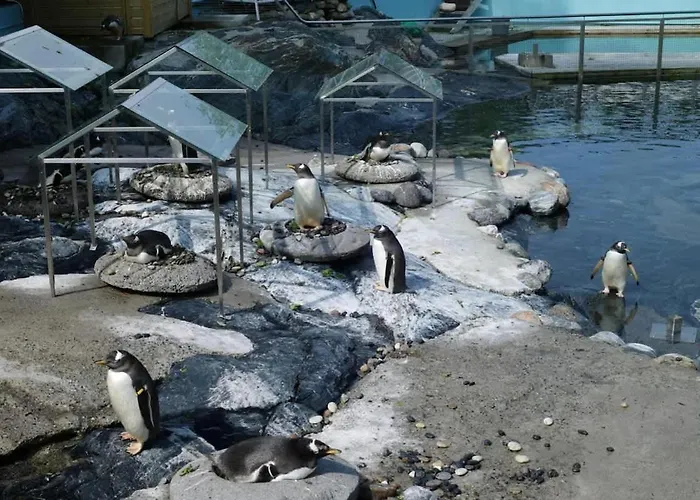 Σπίτι διακοπών Sleep Well In Cozy Hideout - Bryggen Across The Bay