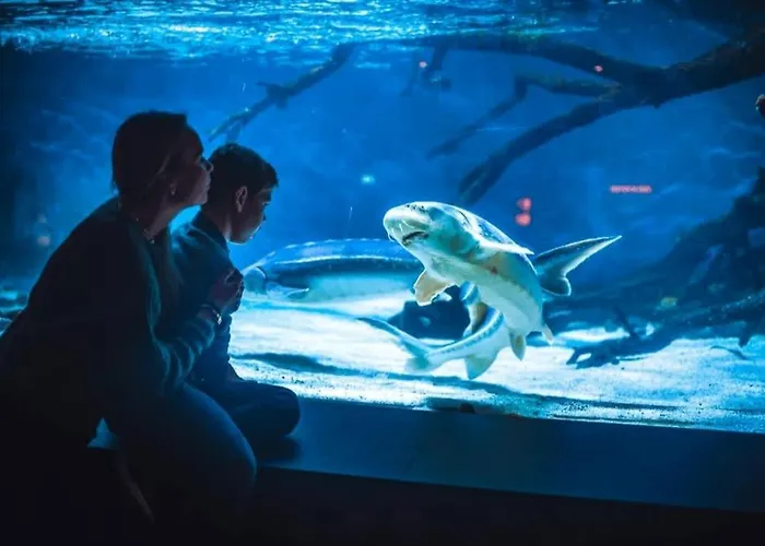 Sleep Well In Cozy Hideout - Bryggen Across The Bay Дом отдыха